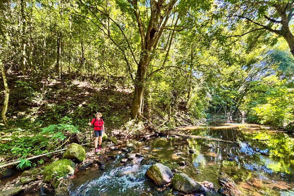 Guaramiranga, Ceará — Trilha para a Cachoeira São Paulo